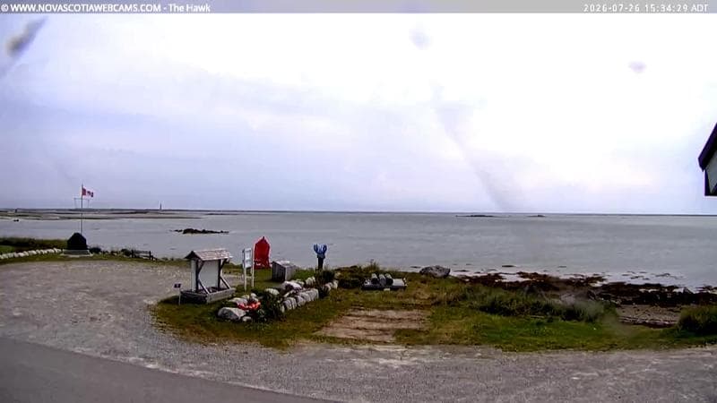 The Hawk
