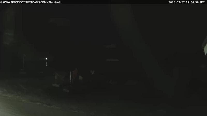 The Hawk