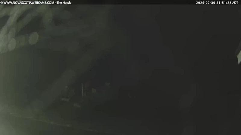 The Hawk