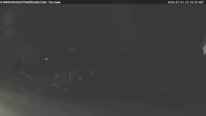 The Hawk