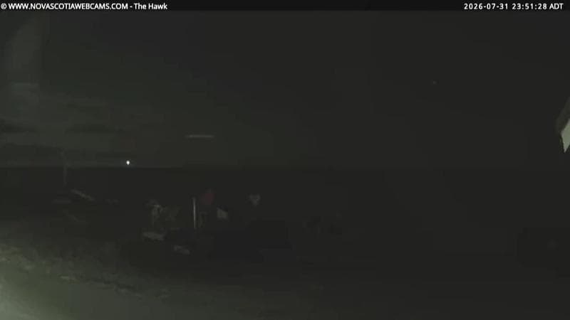 The Hawk