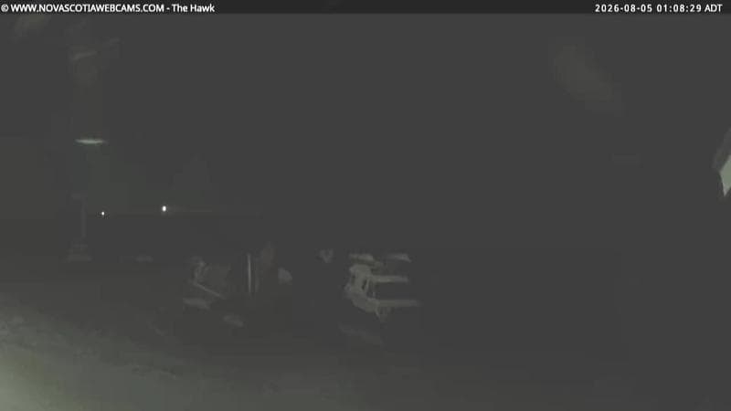 The Hawk