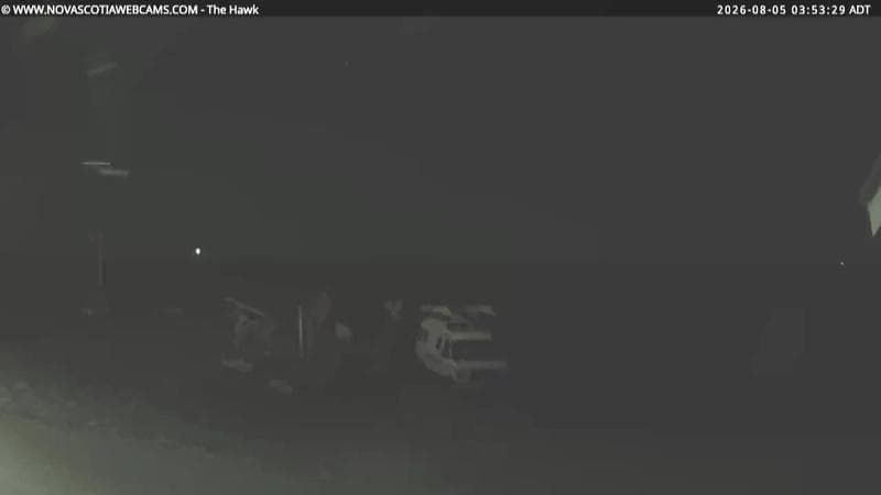 The Hawk