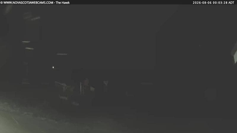 The Hawk