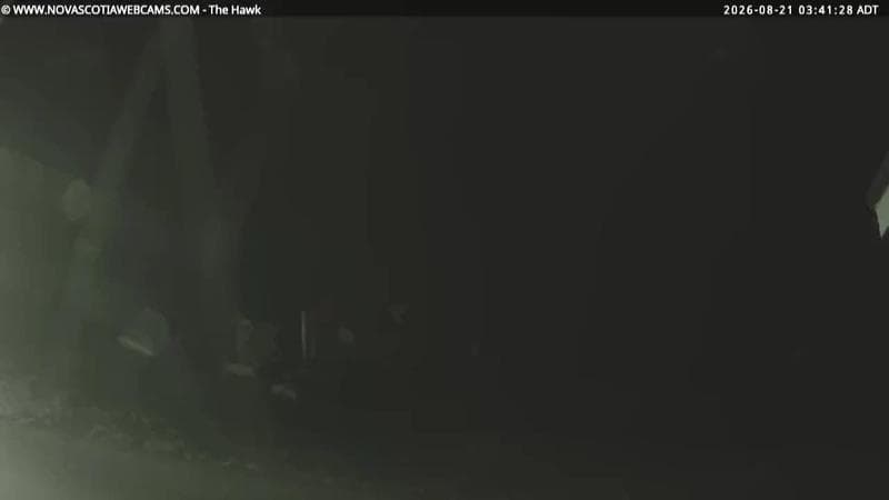 The Hawk