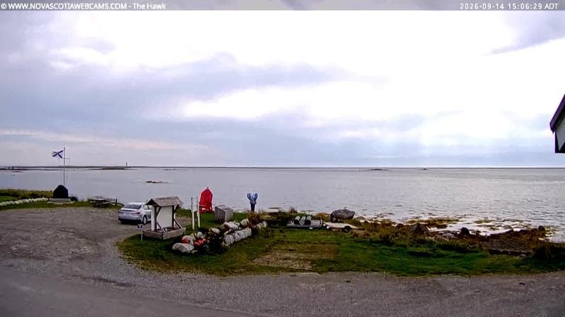 The Hawk