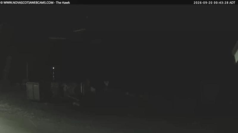 The Hawk