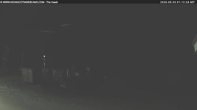 The Hawk