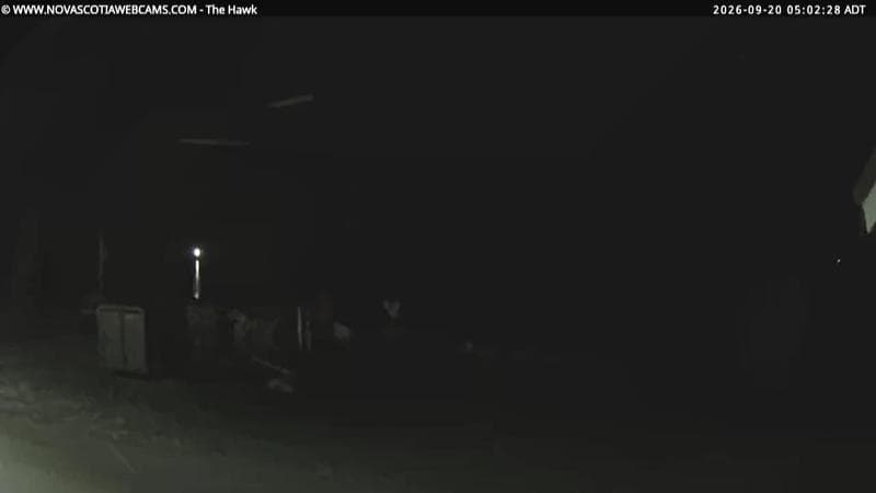 The Hawk