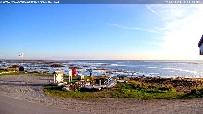 The Hawk