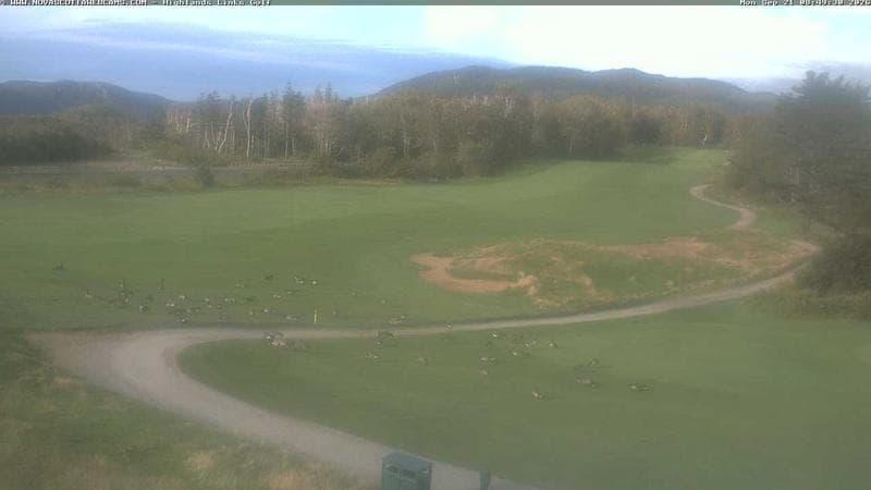 Highlands Links #18