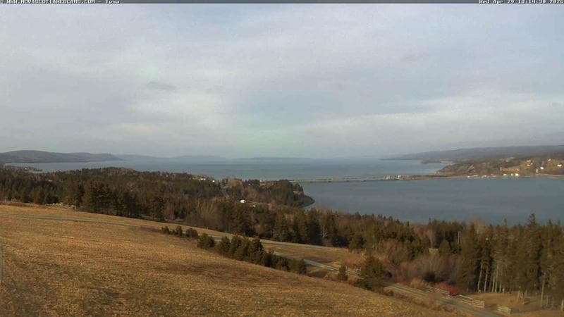 Iona