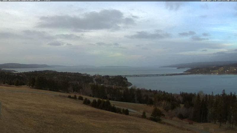 Iona