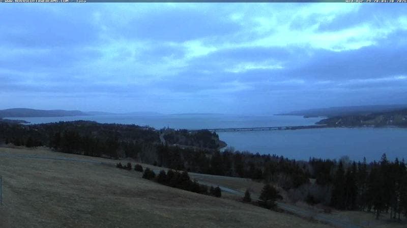 Iona