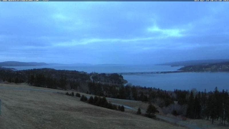 Iona