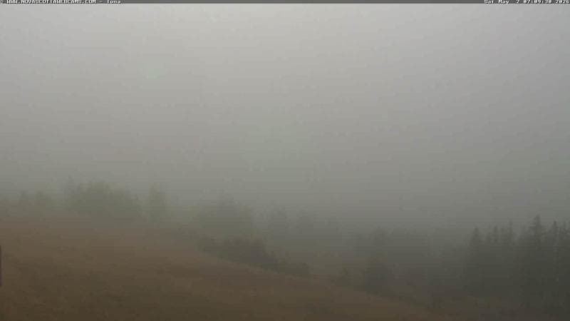 Iona