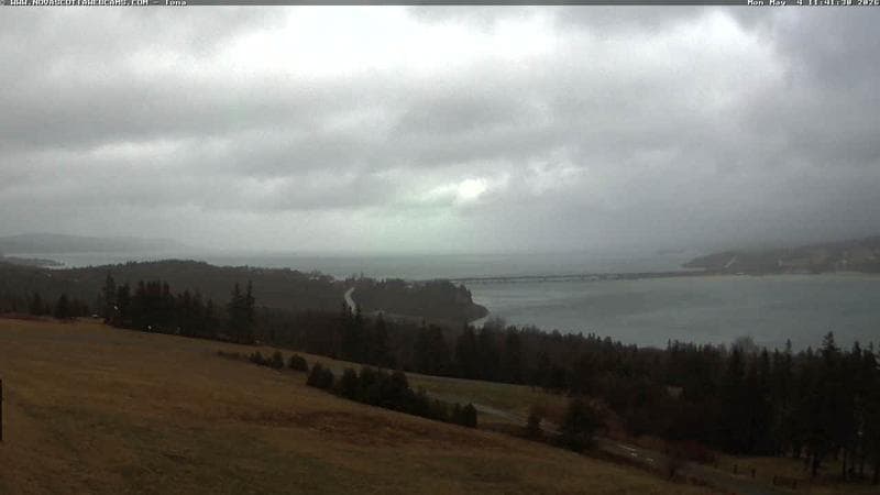 Iona
