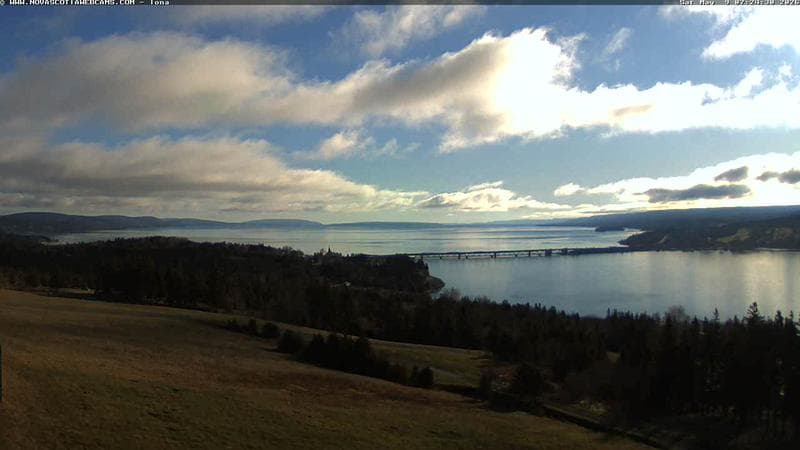 Iona