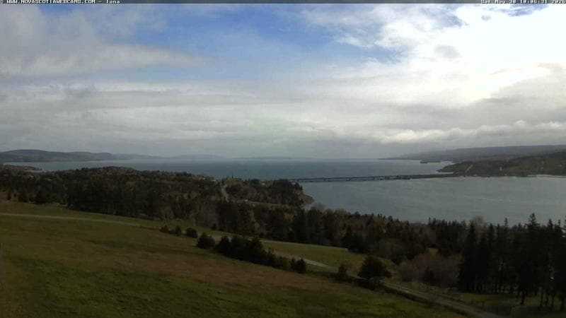 Iona