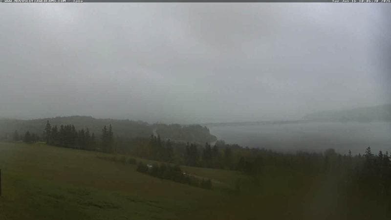 Iona
