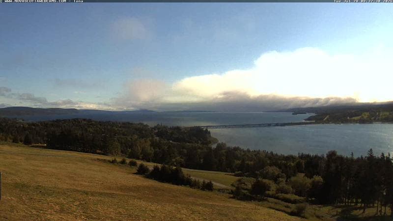 Iona