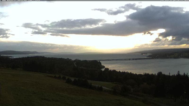Iona