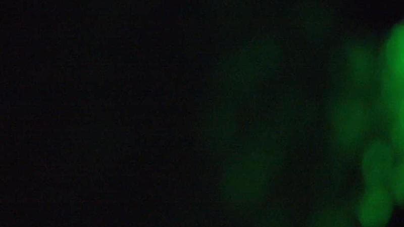 Highland Village Museum