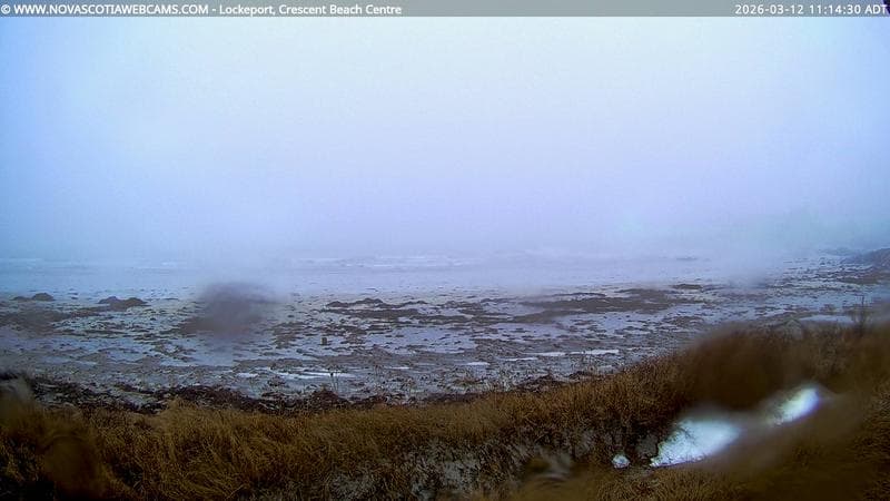 Lockeport Crescent Beach