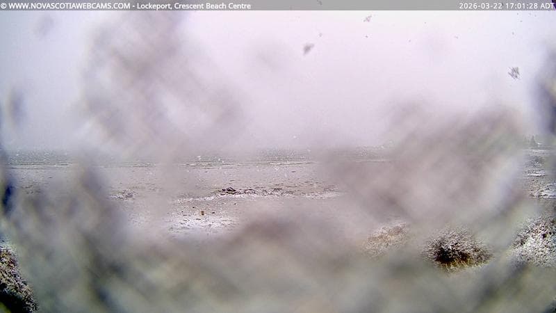 Lockeport Crescent Beach