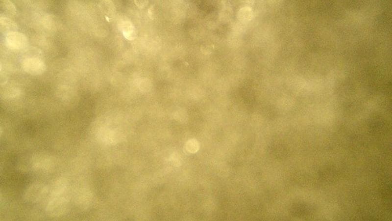 Macdonald Bridge - Halifax bound