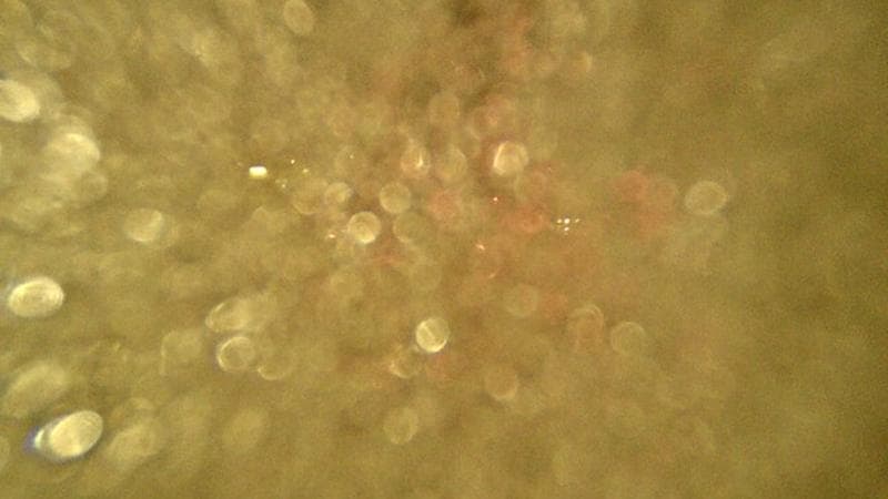 Macdonald Bridge - Halifax bound