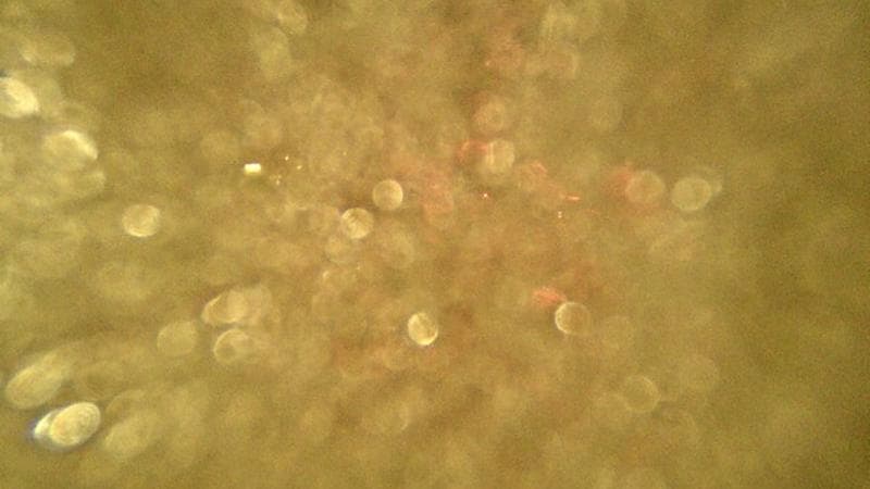 Macdonald Bridge - Halifax bound