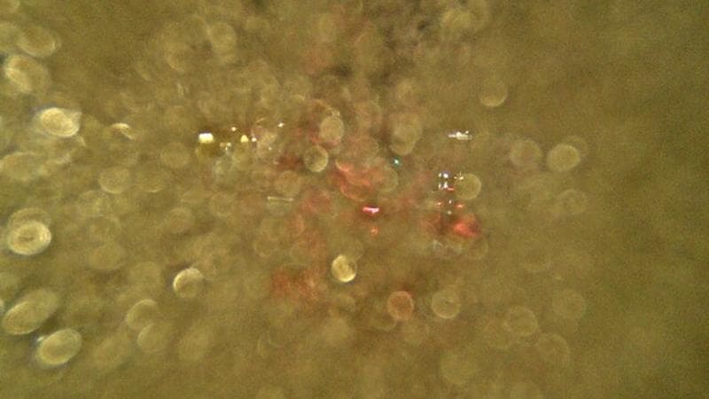 Macdonald Bridge - Halifax bound