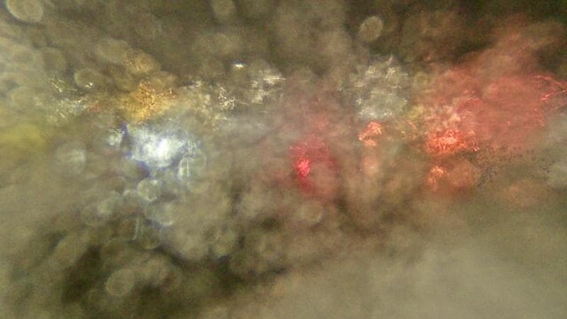 Macdonald Bridge - Halifax bound