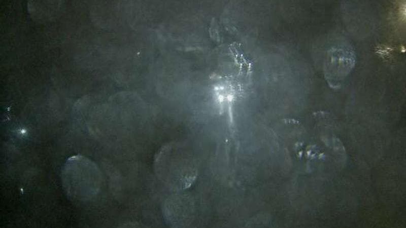 MacKay Bridge - Dartmouth bound