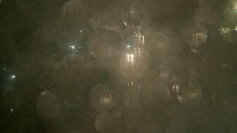 MacKay Bridge - Dartmouth bound