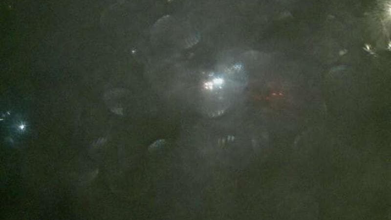 MacKay Bridge - Dartmouth bound