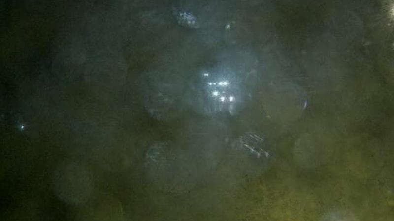 MacKay Bridge - Dartmouth bound