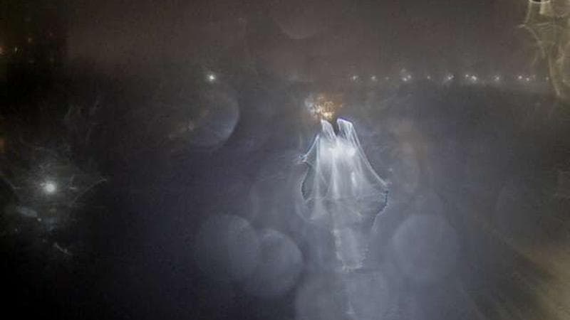 MacKay Bridge - Dartmouth bound