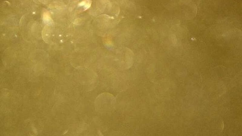 MacKay Bridge - Halifax bound