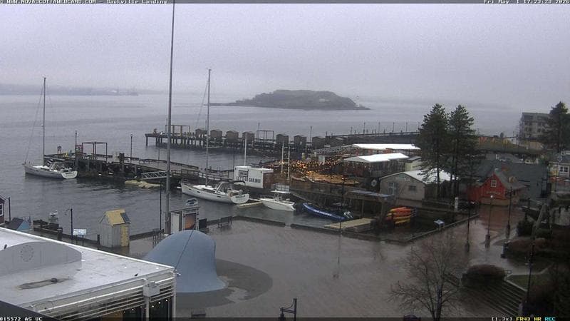 The Wave