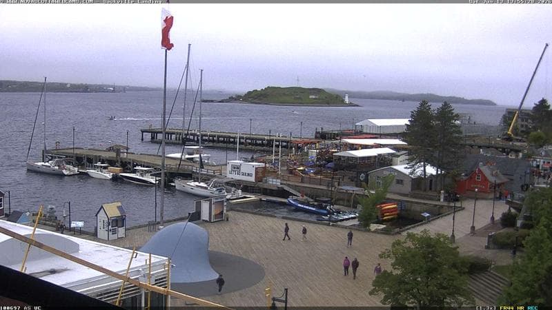 The Wave
