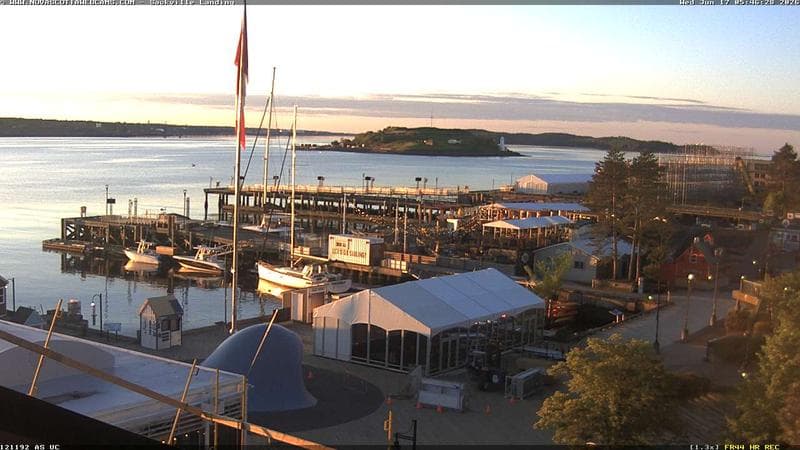 The Wave