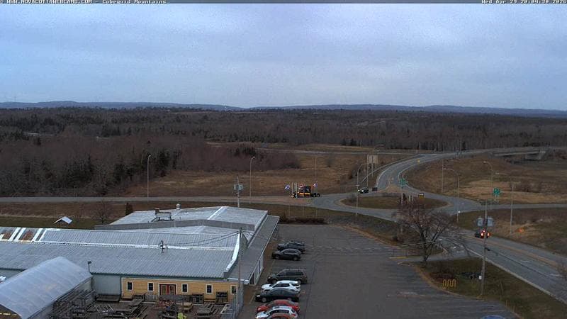 Cobequid Mountains
