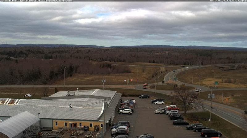 Cobequid Mountains