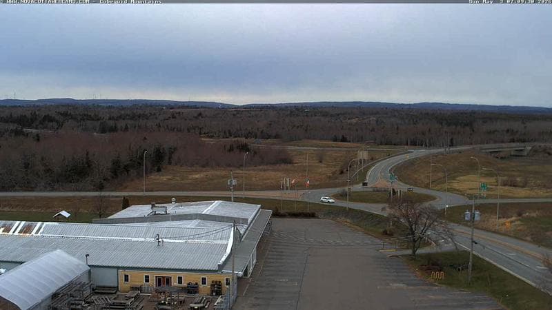 Cobequid Mountains