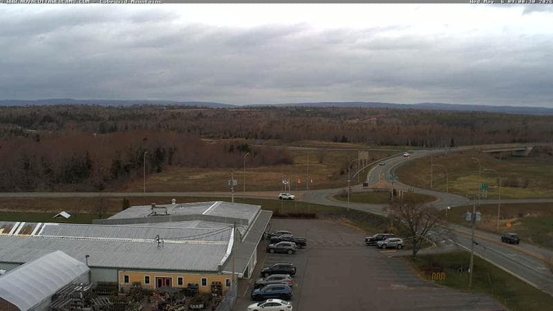 Cobequid Mountains