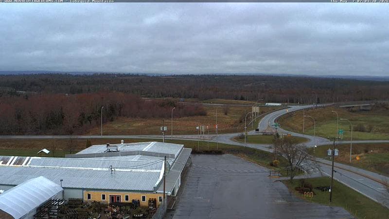 Cobequid Mountains