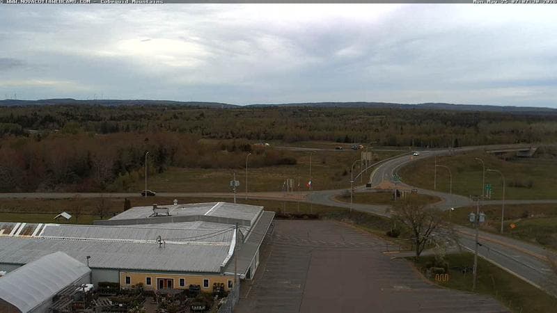 Cobequid Mountains