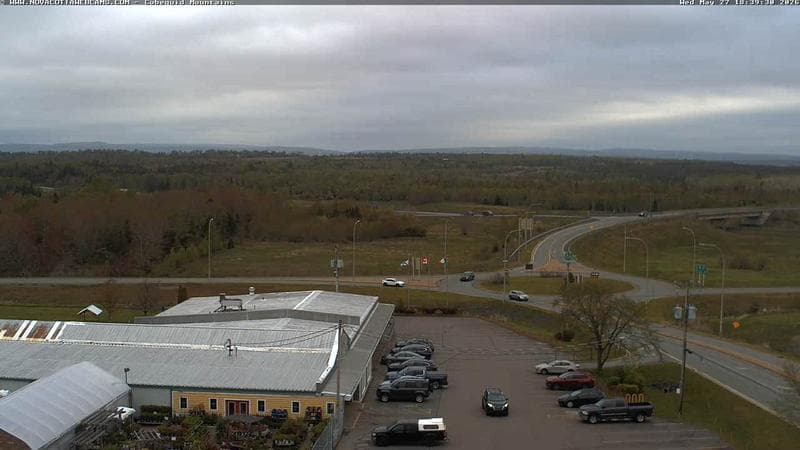 Cobequid Mountains